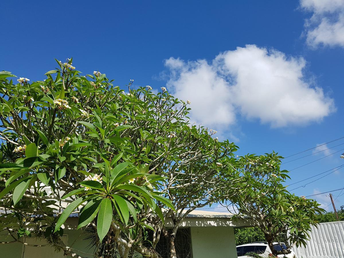 Saipan Family Residence Susupe Buitenkant foto